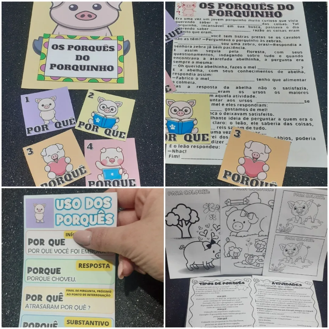 OS PORQUÊS DO PORQUINHO