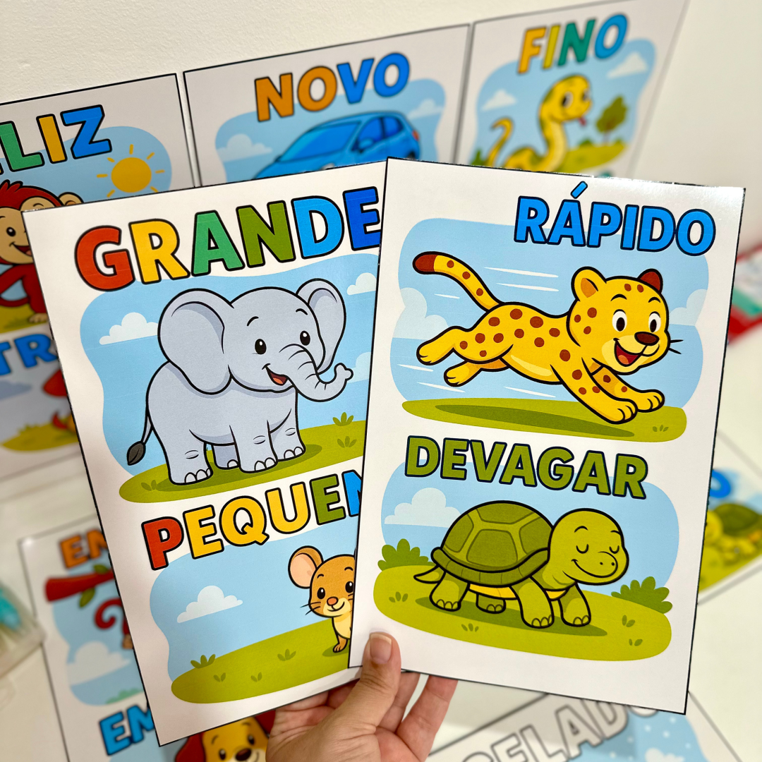 Fichas ilustradas para trabalhar Conceitos na Educação Infantil.